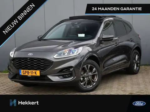 Used FORD KUGA Hybrid 2022 Ad 