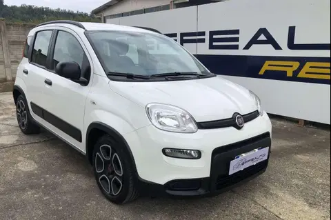 Used FIAT PANDA Hybrid 2022 Ad 