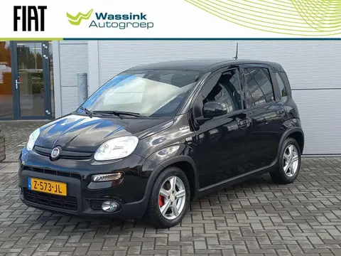 Used FIAT PANDA Hybrid 2021 Ad 