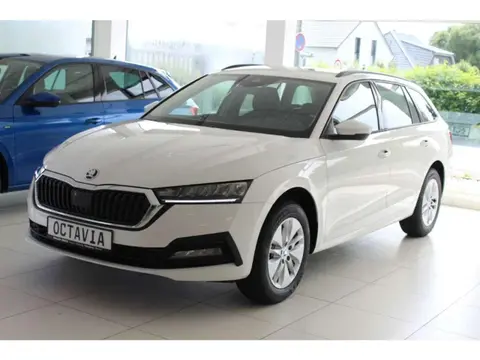 Annonce SKODA OCTAVIA Diesel 2024 d'occasion 