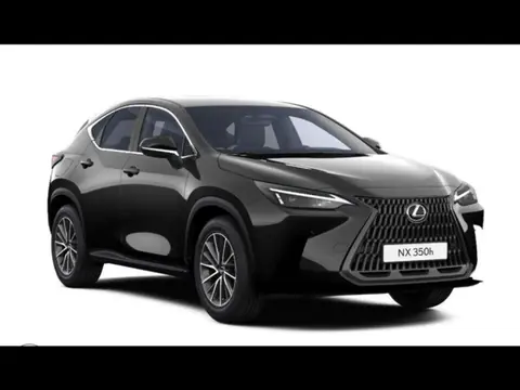 Used LEXUS NX Hybrid 2024 Ad Belgium