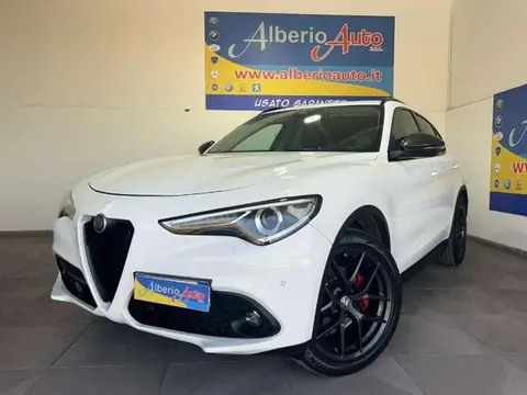 Used ALFA ROMEO STELVIO Diesel 2019 Ad 