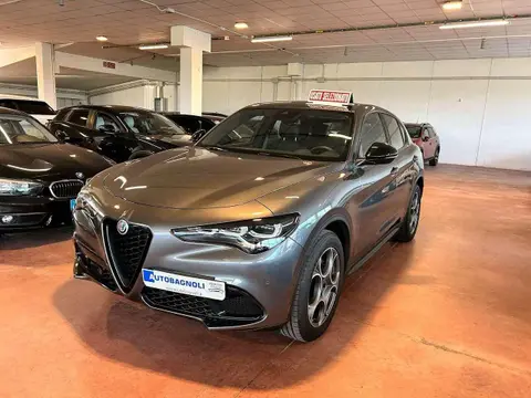 Used ALFA ROMEO STELVIO Diesel 2023 Ad 