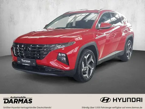 Annonce HYUNDAI TUCSON Essence 2023 d'occasion 