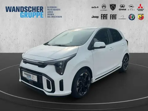 Used KIA PICANTO Petrol 2024 Ad 