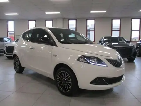 Annonce LANCIA YPSILON GPL 2024 d'occasion 