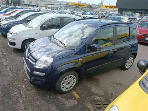 Annonce FIAT PANDA Essence 2019 d'occasion 