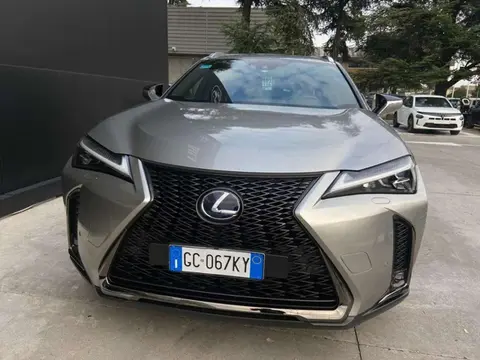 Used LEXUS UX Hybrid 2020 Ad 