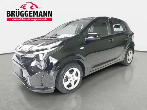 Annonce KIA PICANTO Essence 2024 d'occasion 