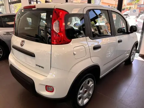 Annonce FIAT PANDA Hybride 2024 d'occasion 