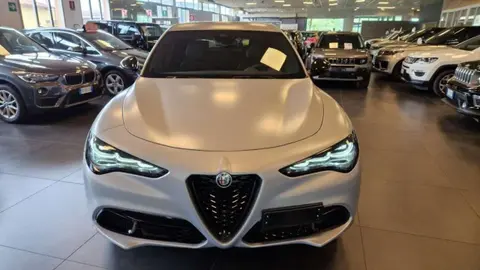 Annonce ALFA ROMEO STELVIO Diesel 2024 d'occasion 