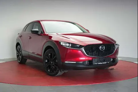 Annonce MAZDA CX-30 Essence 2024 d'occasion 