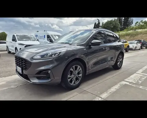 Annonce FORD KUGA Diesel 2021 d'occasion 