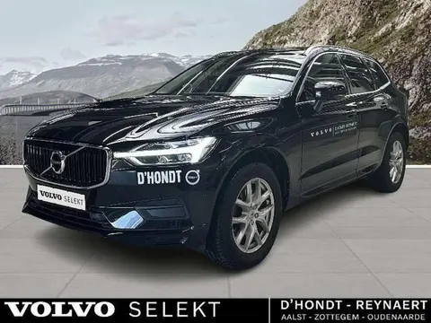 Annonce VOLVO XC60 Diesel 2019 d'occasion 