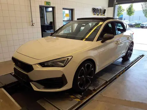 Used CUPRA LEON Hybrid 2022 Ad 