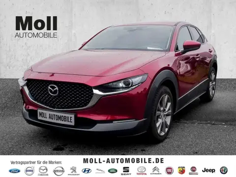 Annonce MAZDA CX-30 Essence 2023 d'occasion 