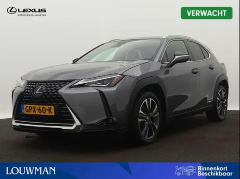 Used LEXUS UX Hybrid 2020 Ad 