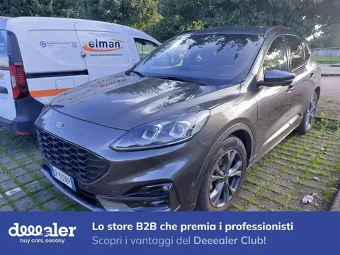 Annonce FORD KUGA Diesel 2023 d'occasion 