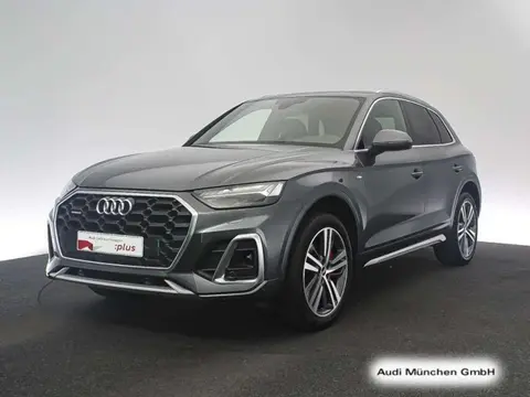 Used AUDI Q5 Hybrid 2021 Ad 