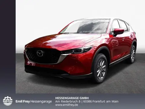 Annonce MAZDA CX-5 Diesel 2024 d'occasion 