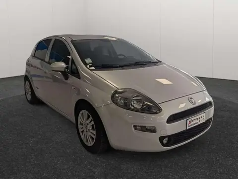 Annonce FIAT PUNTO Diesel 2019 d'occasion 