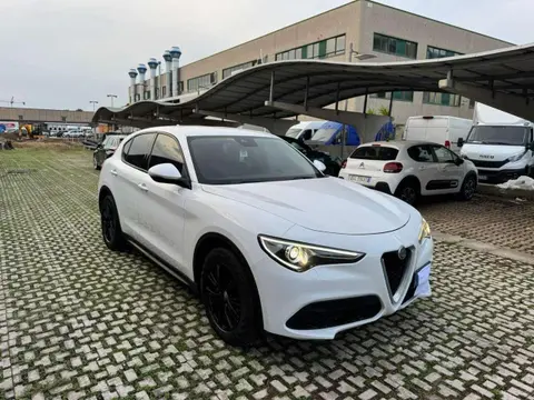 Used ALFA ROMEO STELVIO Diesel 2019 Ad 