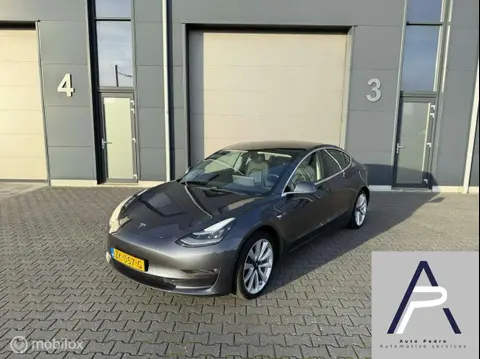 Used TESLA MODEL 3 Electric 2019 Ad 