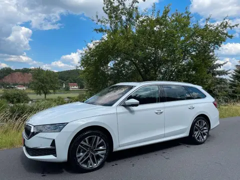 Annonce SKODA OCTAVIA Diesel 2024 d'occasion 