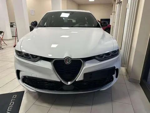 Annonce ALFA ROMEO TONALE Diesel 2024 d'occasion 