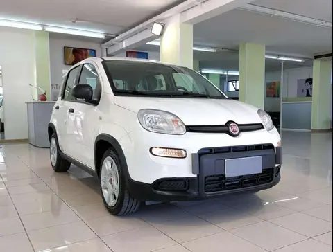 Annonce FIAT PANDA Hybride 2024 d'occasion 