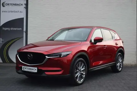 Annonce MAZDA CX-5 Essence 2021 d'occasion 