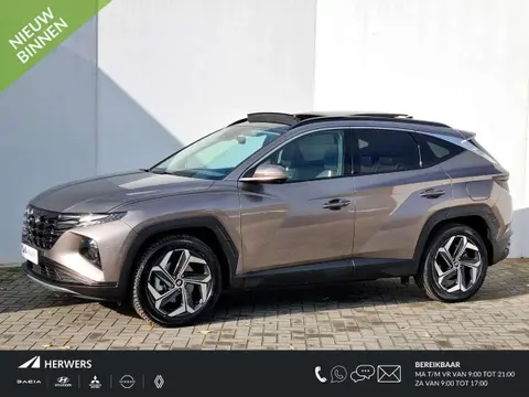 Annonce HYUNDAI TUCSON Hybride 2023 d'occasion 