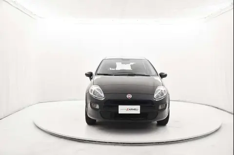 Used FIAT PUNTO Petrol 2016 Ad 