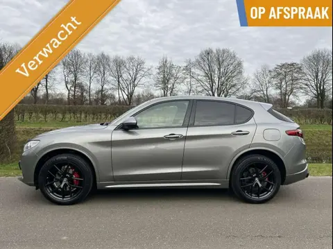 Used ALFA ROMEO STELVIO Petrol 2019 Ad 