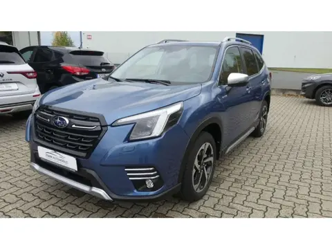 Used SUBARU FORESTER Petrol 2024 Ad 