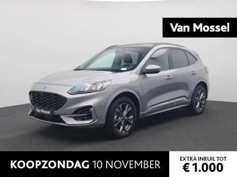 Annonce FORD KUGA Hybride 2022 d'occasion 