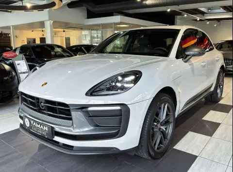 Used PORSCHE MACAN Petrol 2023 Ad 