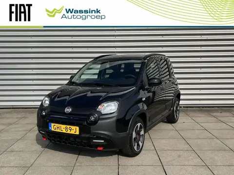 Used FIAT PANDA Hybrid 2024 Ad 