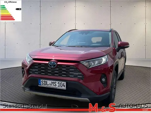 Used TOYOTA RAV4 Hybrid 2024 Ad 