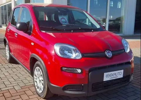 Annonce FIAT PANDA Hybride 2024 d'occasion 