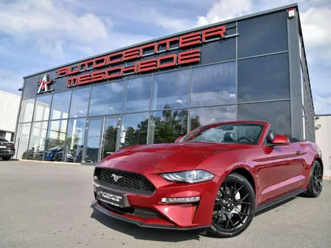 Used FORD MUSTANG Petrol 2019 Ad 