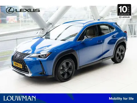 Used LEXUS UX Hybrid 2023 Ad 