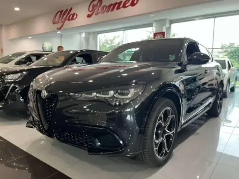 Used ALFA ROMEO STELVIO Petrol 2024 Ad Italy