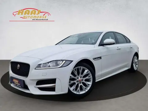 Used JAGUAR XF Diesel 2019 Ad 