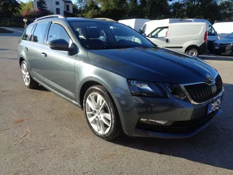 Annonce SKODA OCTAVIA  2020 d'occasion 