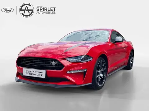 Annonce FORD MUSTANG Essence 2020 d'occasion 