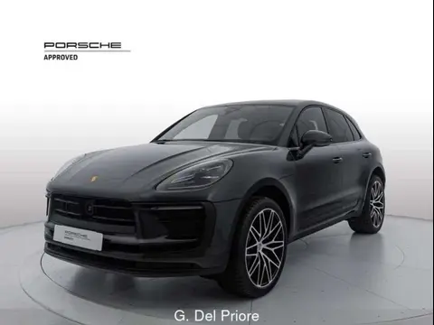 Used PORSCHE MACAN Petrol 2021 Ad 