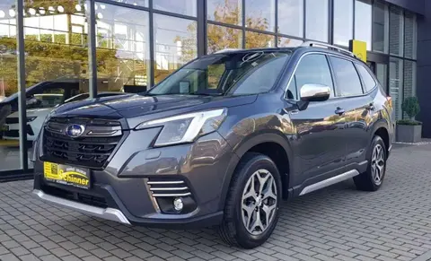 Annonce SUBARU FORESTER Hybride 2024 d'occasion 