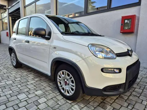 Annonce FIAT PANDA Hybride 2022 d'occasion 