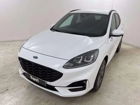 Used FORD KUGA Hybrid 2021 Ad 